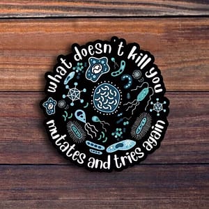 "What Doesn't Kill You..." Sticker